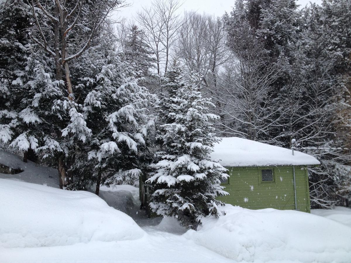 The Woods Lodge Northfield Buitenkant foto