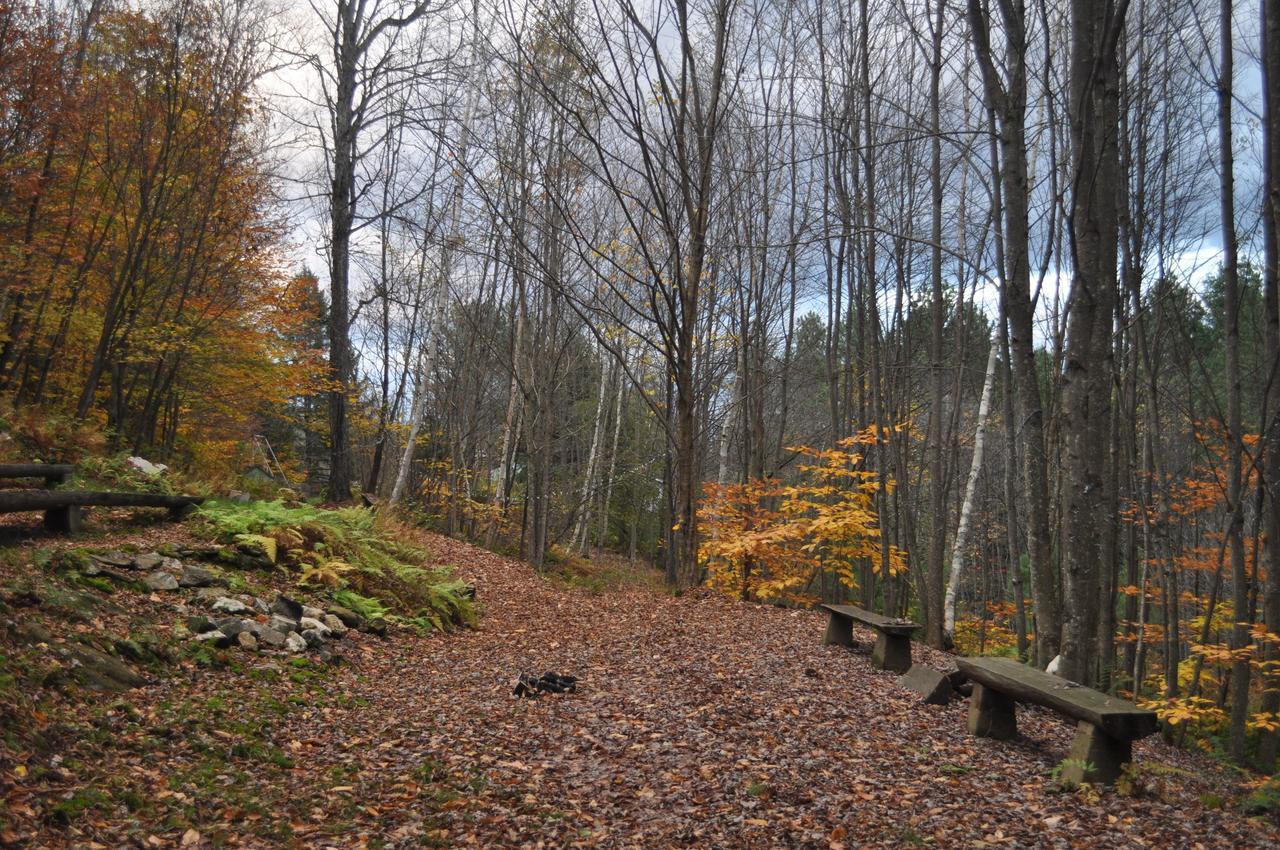 The Woods Lodge Northfield Buitenkant foto